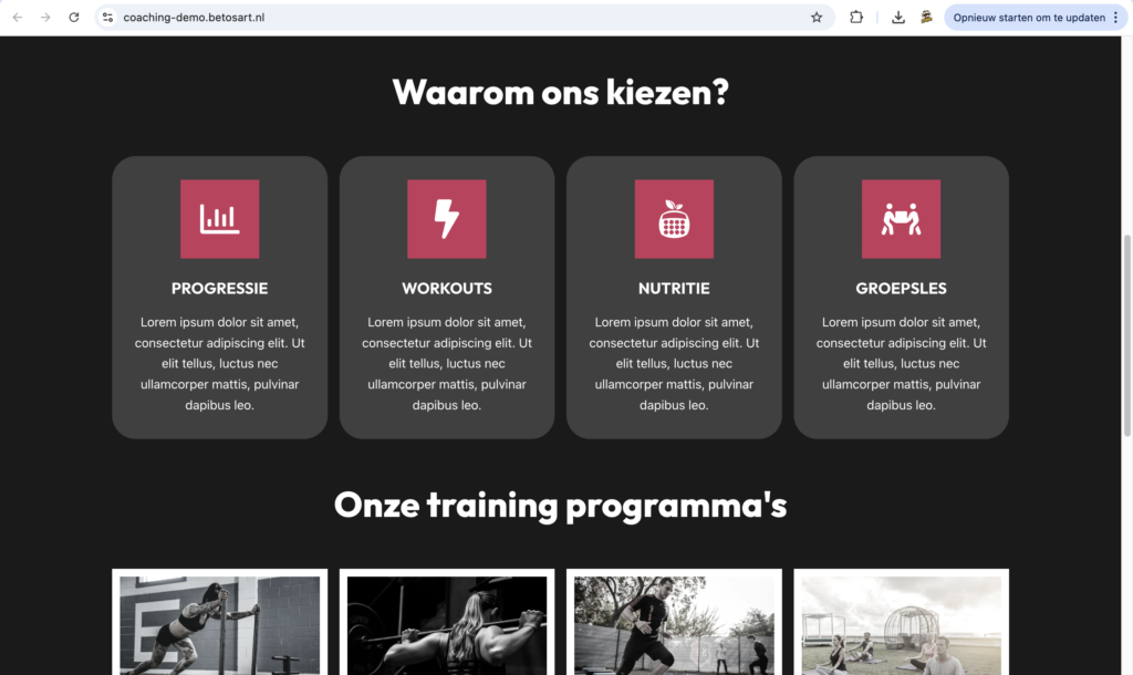 Afbeelding van coaching demo services