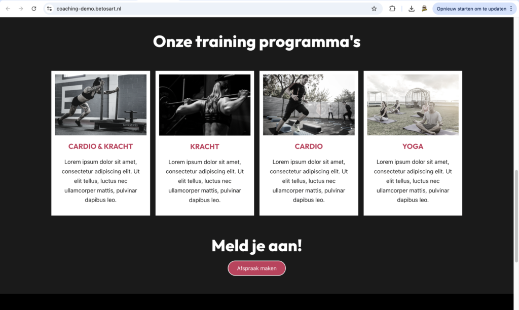 Afbeelding van coaching demo programma